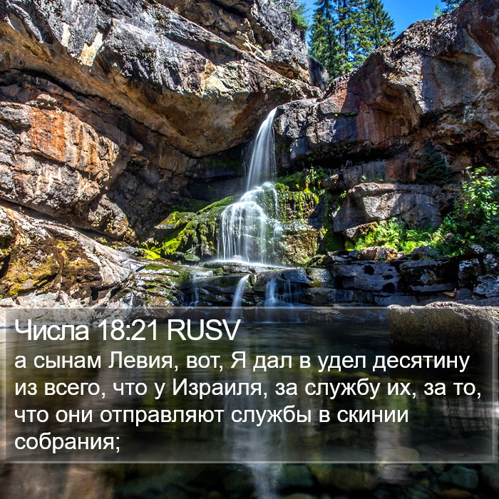 Числа 18:21 RUSV Bible Study
