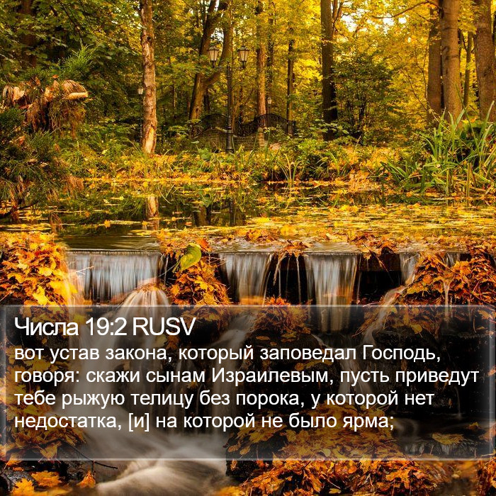 Числа 19:2 RUSV Bible Study