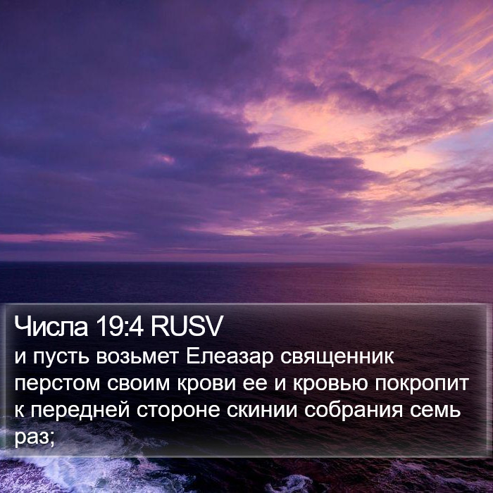 Числа 19:4 RUSV Bible Study