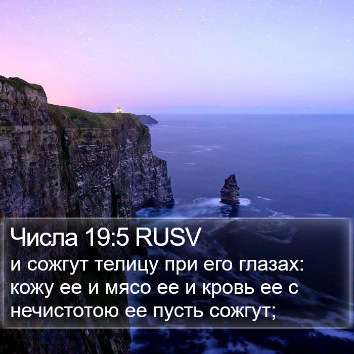 Числа 19:5 RUSV Bible Study