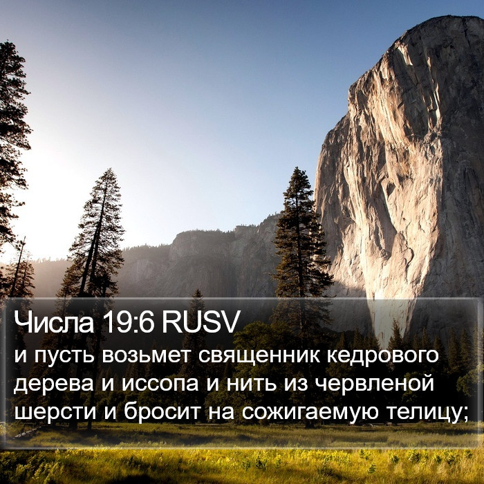 Числа 19:6 RUSV Bible Study