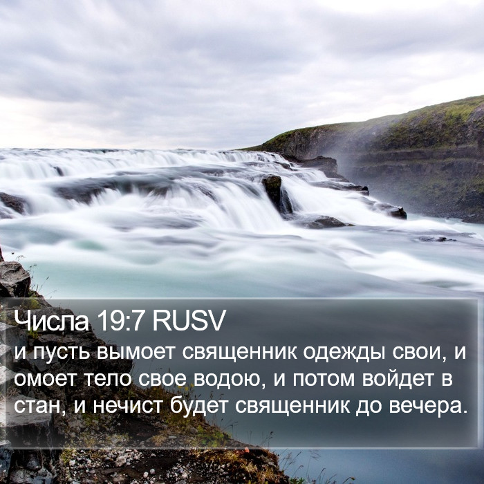 Числа 19:7 RUSV Bible Study