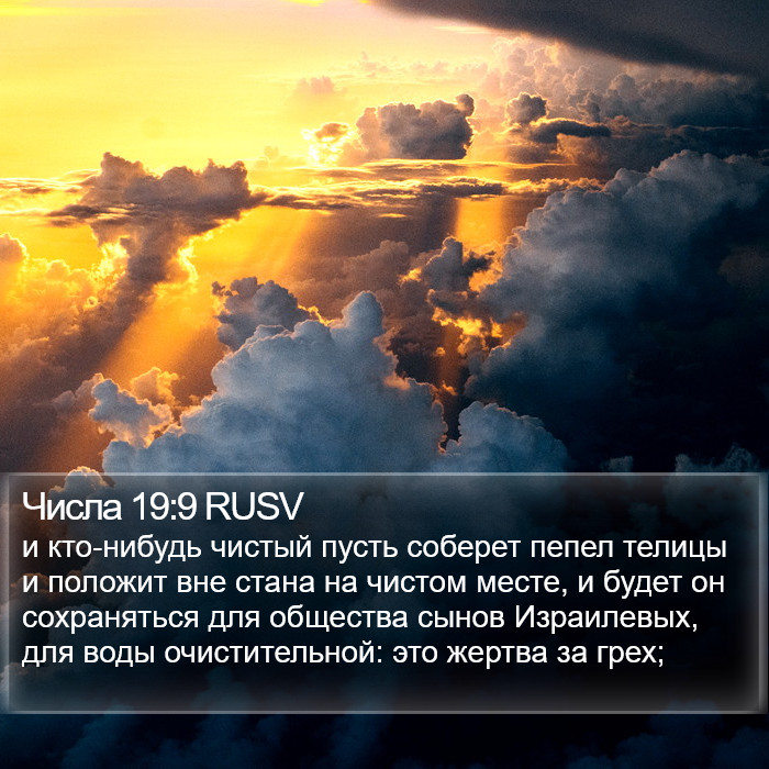 Числа 19:9 RUSV Bible Study