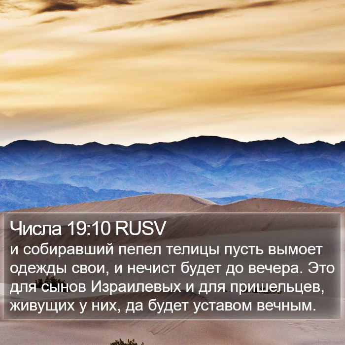 Числа 19:10 RUSV Bible Study