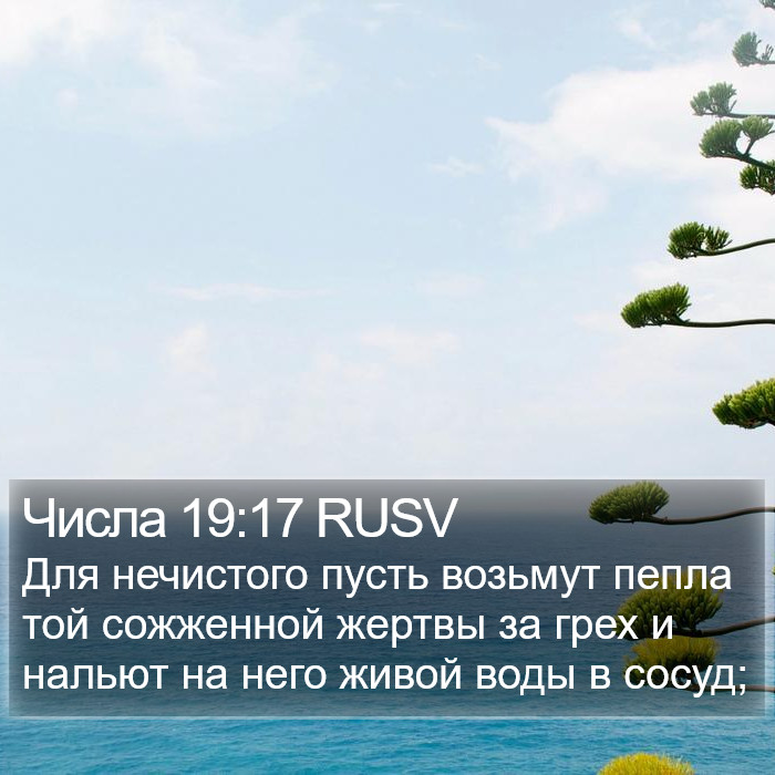 Числа 19:17 RUSV Bible Study