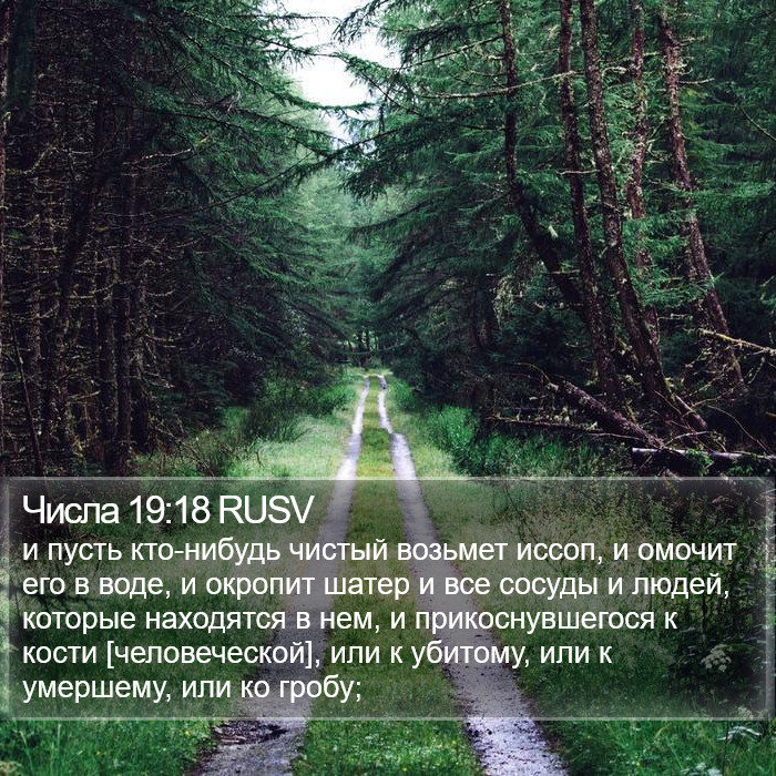 Числа 19:18 RUSV Bible Study