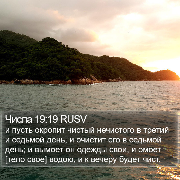 Числа 19:19 RUSV Bible Study