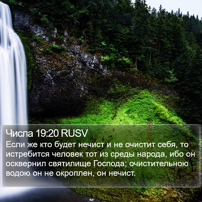 Числа 19:20 RUSV Bible Study