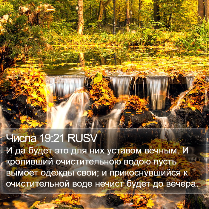 Числа 19:21 RUSV Bible Study