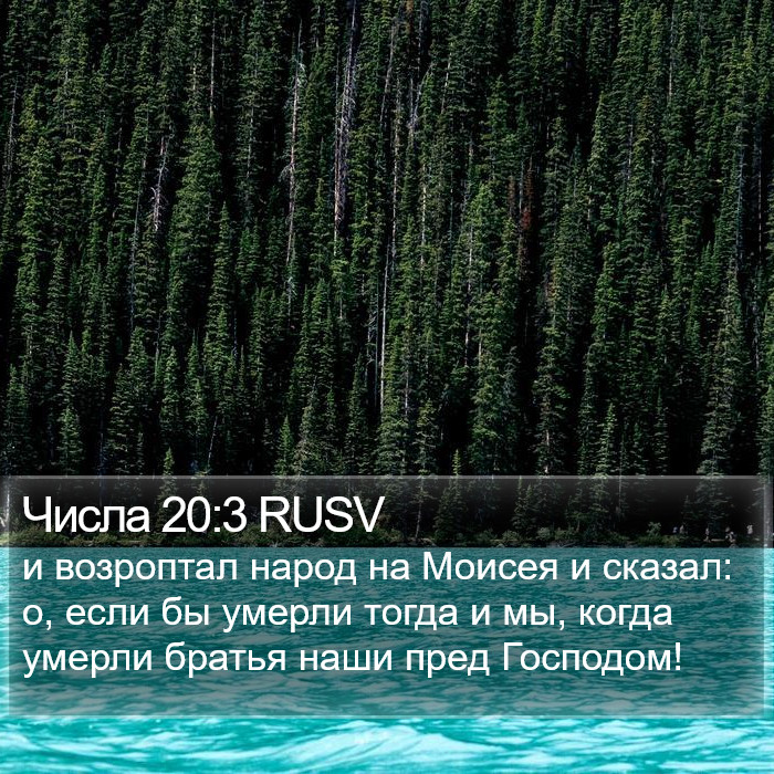 Числа 20:3 RUSV Bible Study