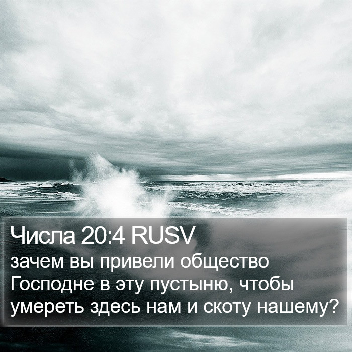 Числа 20:4 RUSV Bible Study