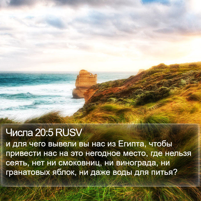 Числа 20:5 RUSV Bible Study