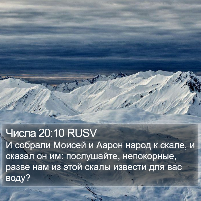 Числа 20:10 RUSV Bible Study