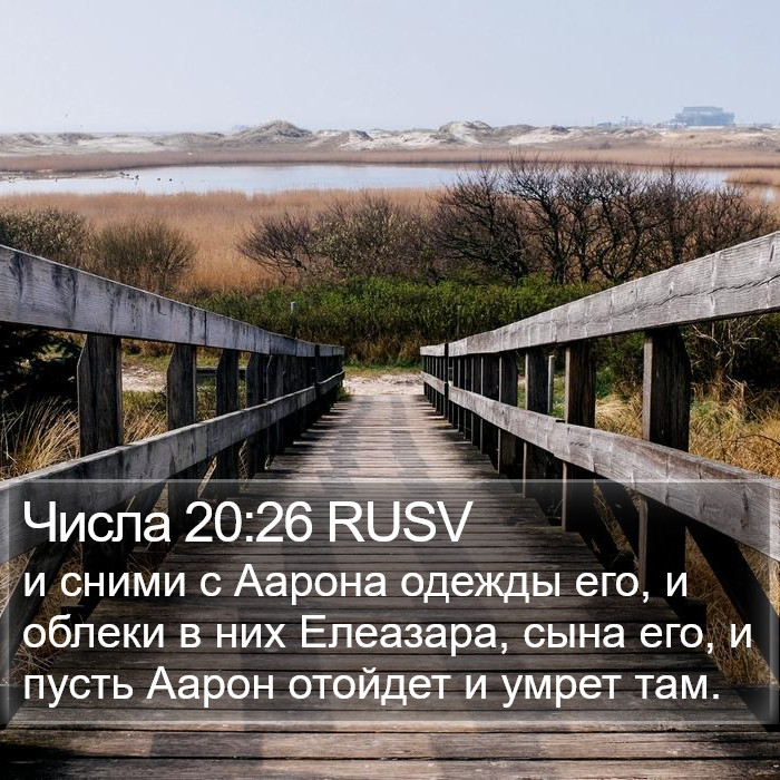Числа 20:26 RUSV Bible Study