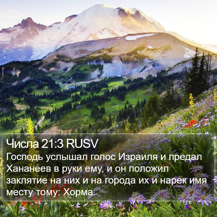 Числа 21:3 RUSV Bible Study