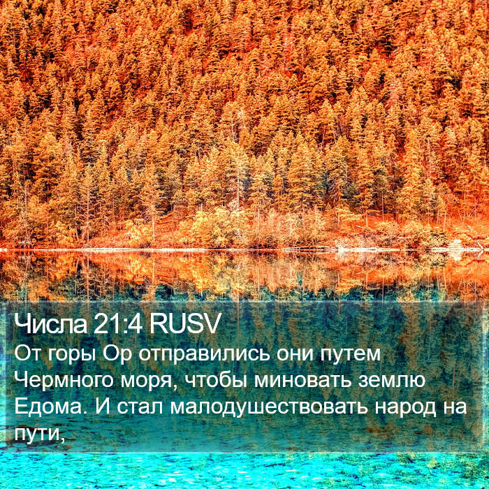 Числа 21:4 RUSV Bible Study