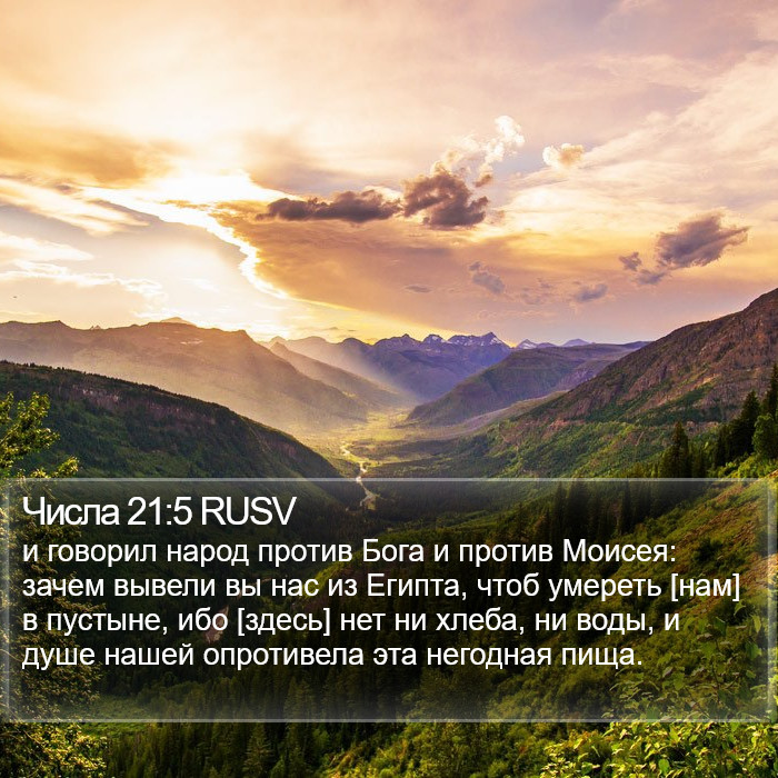 Числа 21:5 RUSV Bible Study