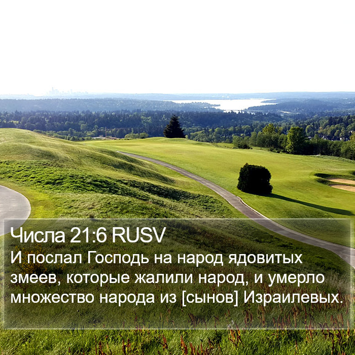 Числа 21:6 RUSV Bible Study