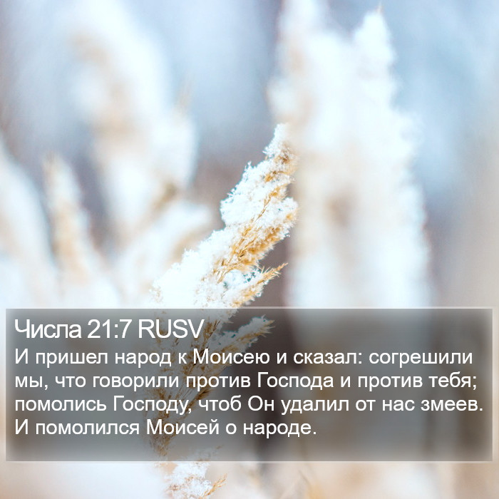 Числа 21:7 RUSV Bible Study