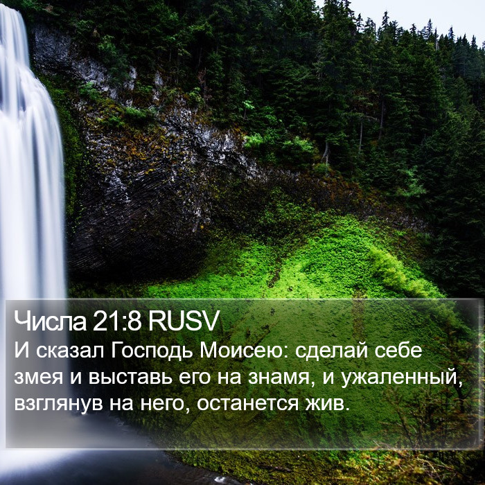 Числа 21:8 RUSV Bible Study