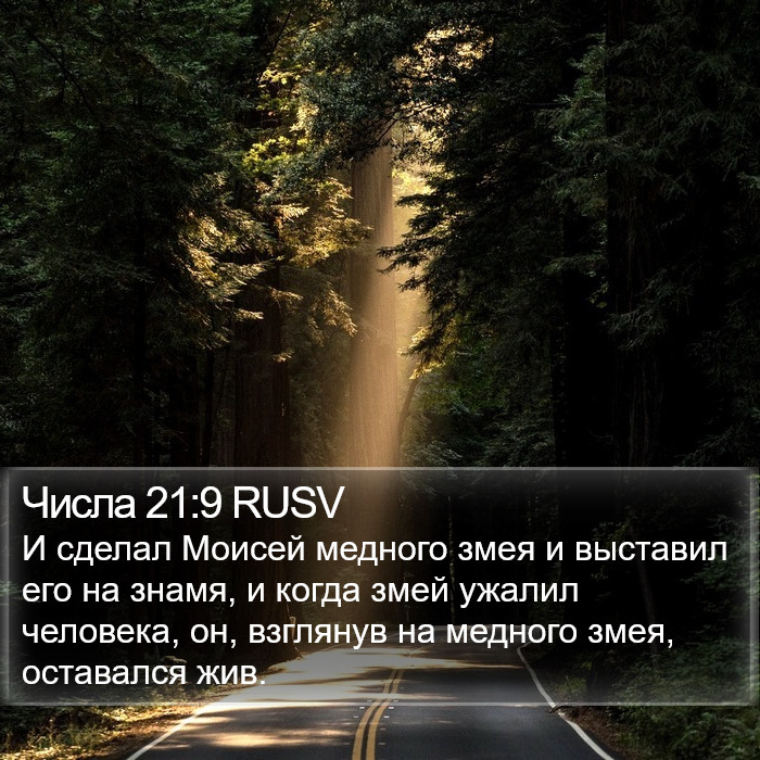 Числа 21:9 RUSV Bible Study