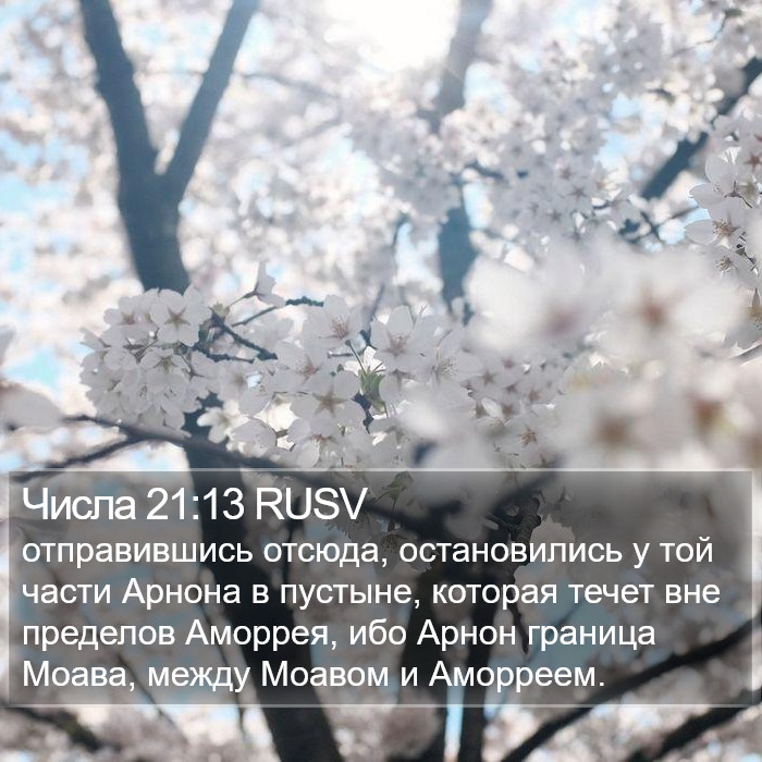 Числа 21:13 RUSV Bible Study