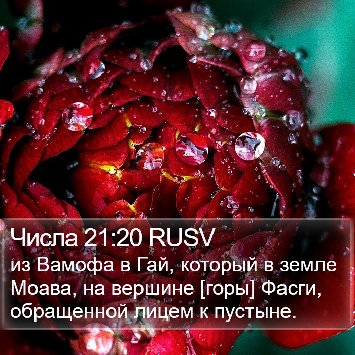 Числа 21:20 RUSV Bible Study