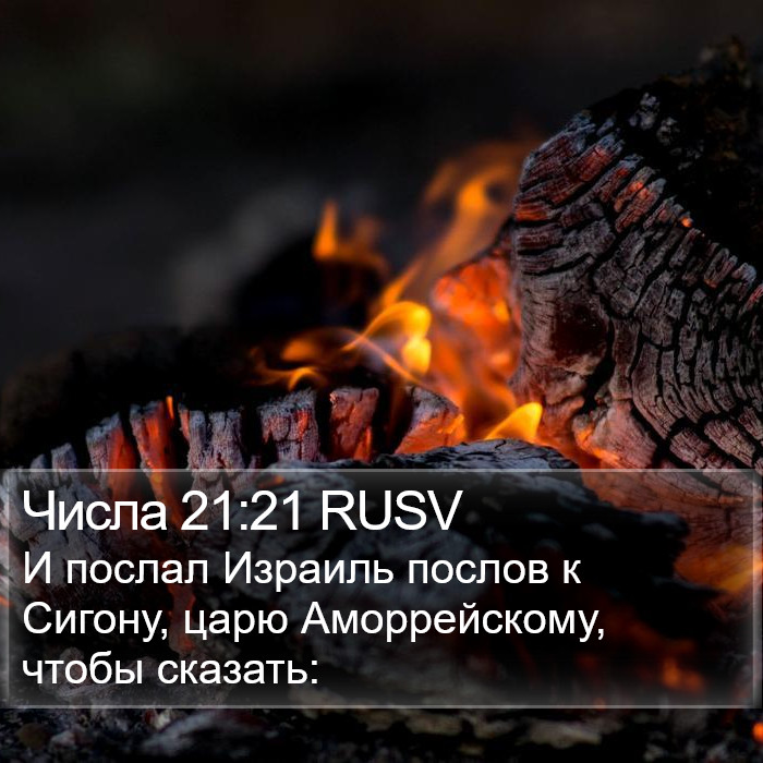 Числа 21:21 RUSV Bible Study