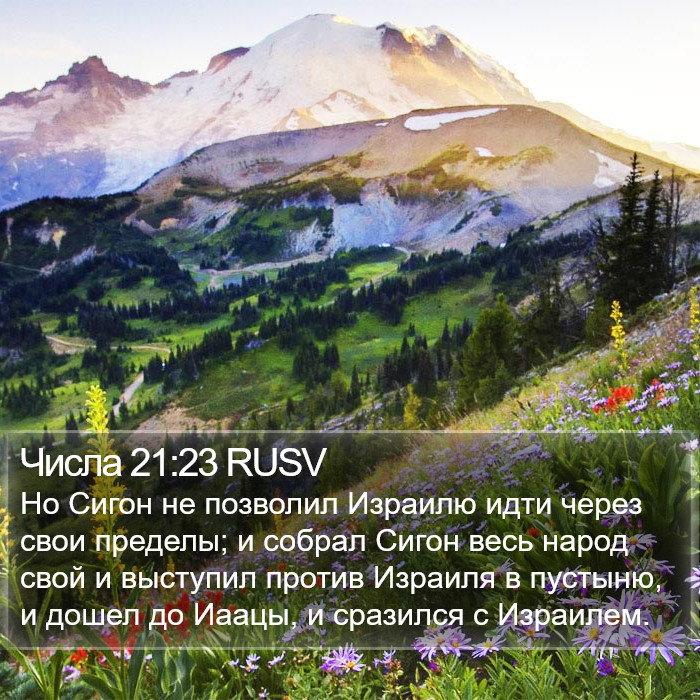 Числа 21:23 RUSV Bible Study