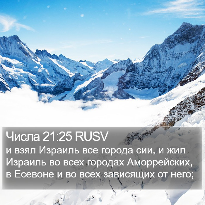 Числа 21:25 RUSV Bible Study