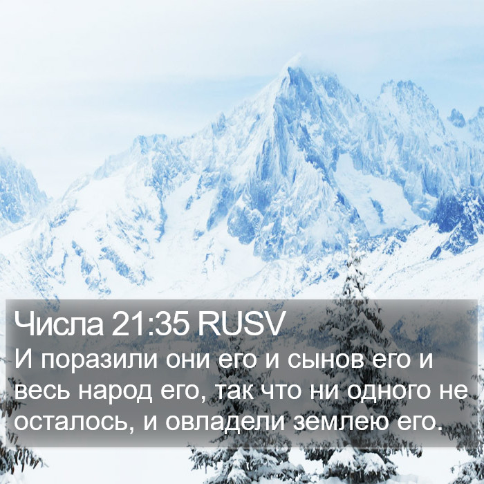 Числа 21:35 RUSV Bible Study