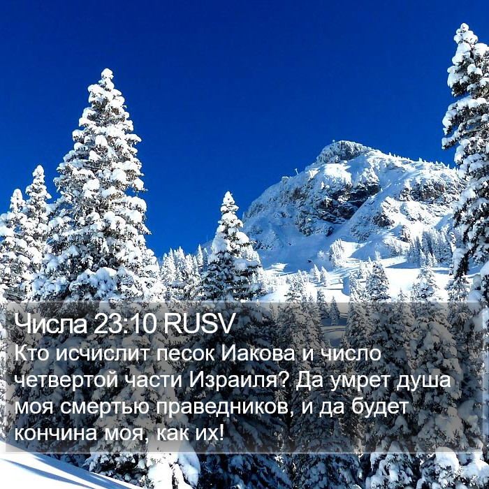 Числа 23:10 RUSV Bible Study