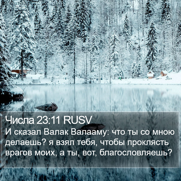 Числа 23:11 RUSV Bible Study