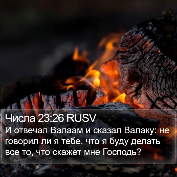 Числа 23:26 RUSV Bible Study