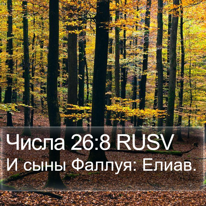 Числа 26:8 RUSV Bible Study