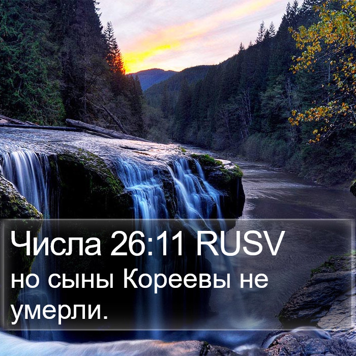 Числа 26:11 RUSV Bible Study