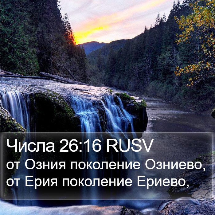Числа 26:16 RUSV Bible Study