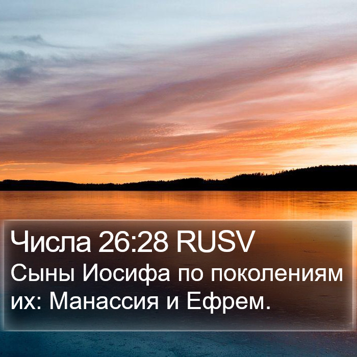 Числа 26:28 RUSV Bible Study