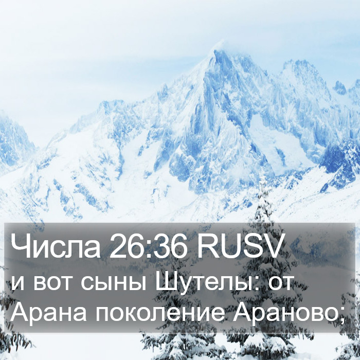 Числа 26:36 RUSV Bible Study