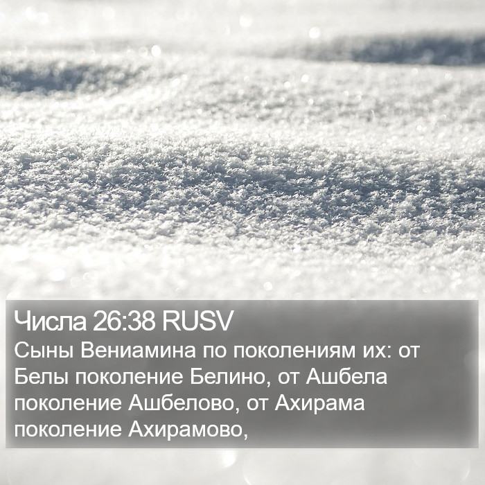 Числа 26:38 RUSV Bible Study