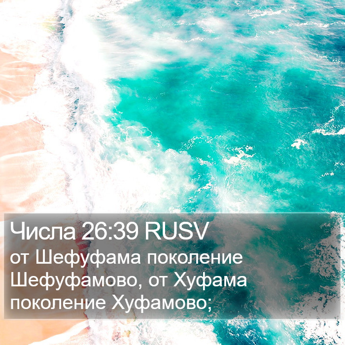 Числа 26:39 RUSV Bible Study