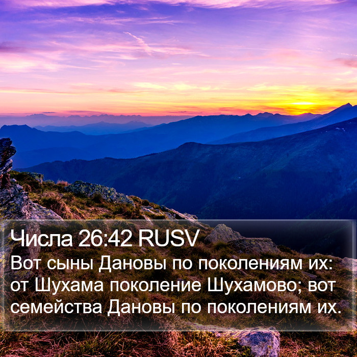 Числа 26:42 RUSV Bible Study