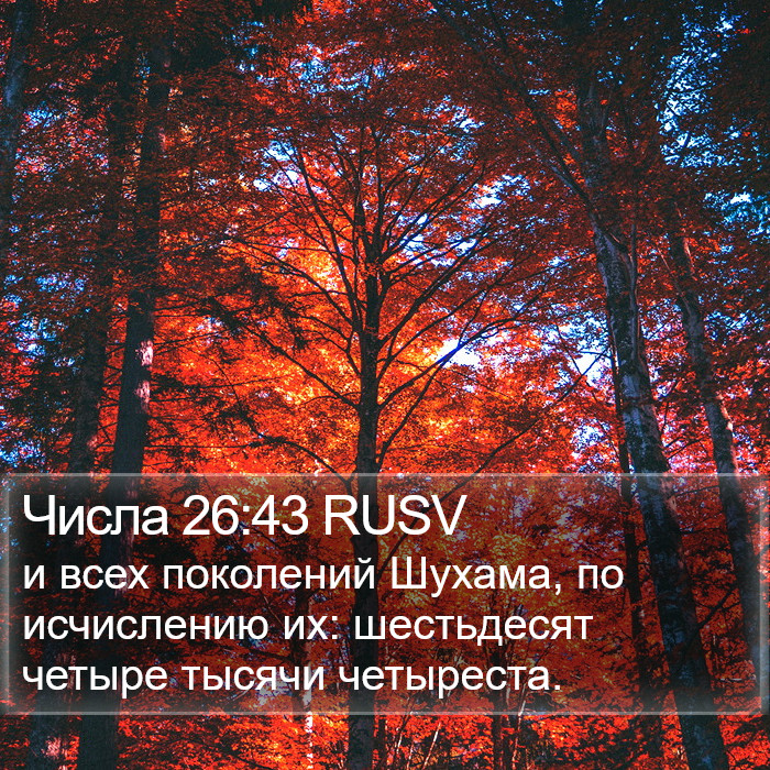 Числа 26:43 RUSV Bible Study