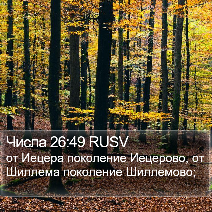 Числа 26:49 RUSV Bible Study