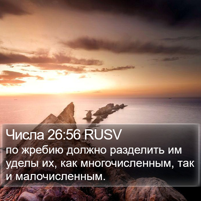 Числа 26:56 RUSV Bible Study