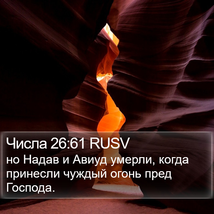 Числа 26:61 RUSV Bible Study