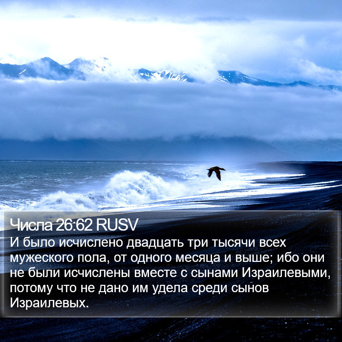Числа 26:62 RUSV Bible Study