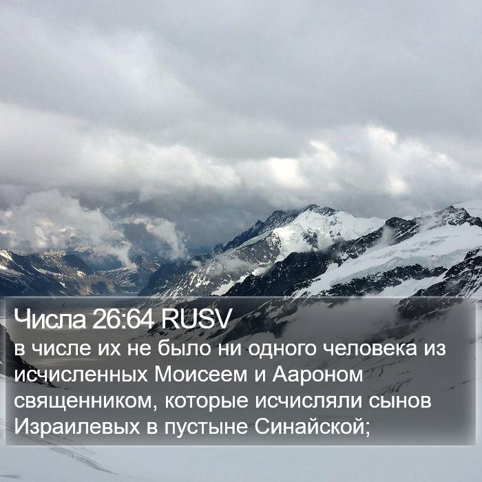 Числа 26:64 RUSV Bible Study