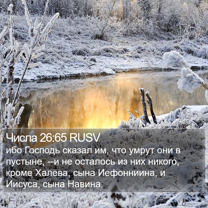 Числа 26:65 RUSV Bible Study
