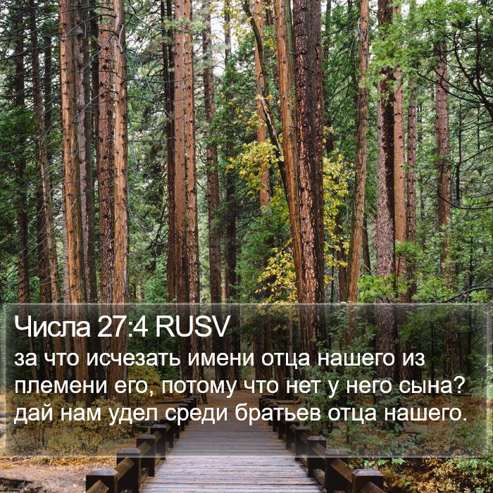 Числа 27:4 RUSV Bible Study